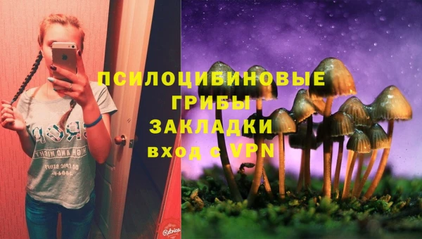 гашик Навашино