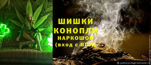 МДПВ Надым