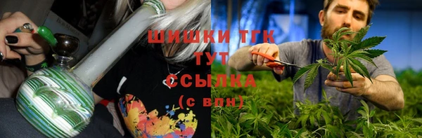 шишки Михайловск